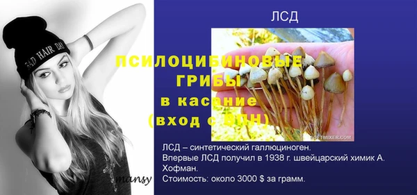 метадон Аркадак