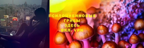 молекула духа Армянск