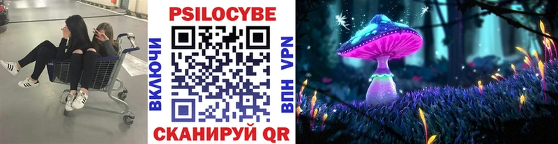 сколько стоит  Олонец  Галлюциногенные грибы ЛСД 
